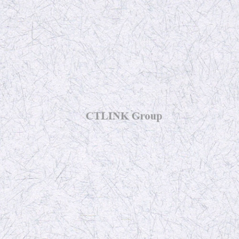 Sàn nâng kỹ thuật đục lỗ thông gió FS-PER1000